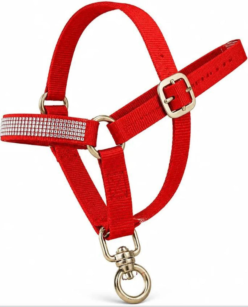 Collar Charm Plain Cow Collar Charm