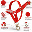 Collar Charm Plain Cow Collar Charm