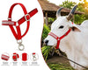 Collar Charm Plain Cow Collar Charm