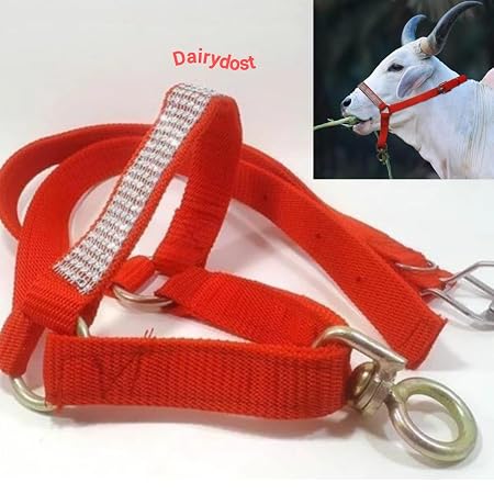 Collar Charm Plain Cow Collar Charm