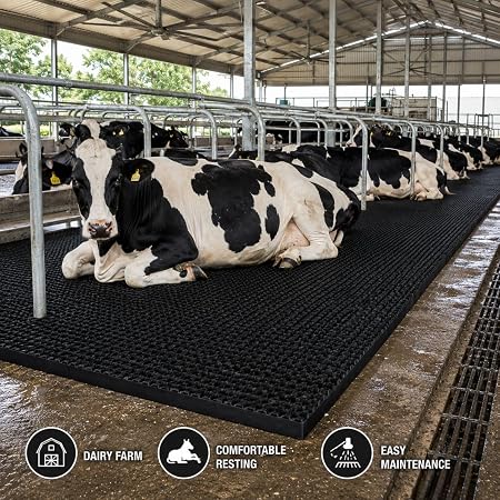 Cow Mat 8x5 Ft 30mm Thick EVA Rubber Flooring Mat for Dairy Farm, Anti Slip Waterproof Buffalo & Cattle Mat, Heavy Duty Livestock Bedding Sheet, Black