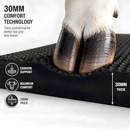 Cow Mat 8x5 Ft 30mm Thick EVA Rubber Flooring Mat for Dairy Farm, Anti Slip Waterproof Buffalo & Cattle Mat, Heavy Duty Livestock Bedding Sheet, Black