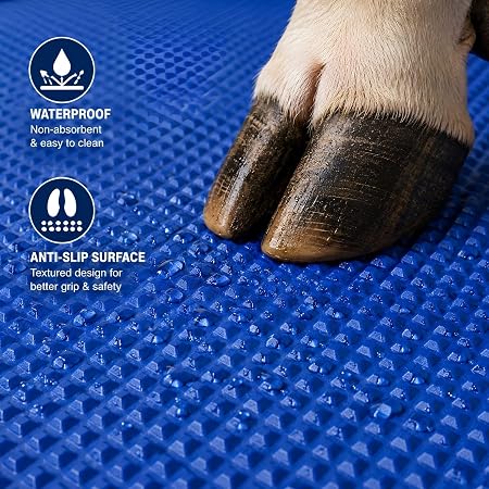 Cow Mat 8x5 Ft 30mm Thick EVA Rubber Flooring Mat for Dairy Farm, Anti Slip Waterproof Buffalo & Cattle Mat, Heavy Duty Livestock Bedding Sheet, Blue