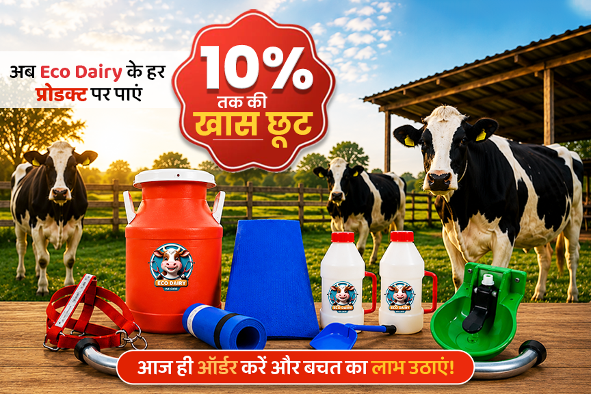 Eco Dairy