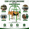 Cow Lifting Machine Full Set with Heavy Duty Gearbox, 1000kg Capacity Animal Lifting Machine, Mild Steel Cattle Standing Assist Hoist for Cow Buffalo Rehabilitation and Handling