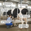 Anti Kick Bar for Cow and Buffalo Adjustable Stainless Steel Milking Safety Bar Heavy Duty Animal Kick Stop Tool with Rubber Padded Ends | Adjustable push-button locking system, Rust-resistant silver finish, Safe milking and veterinary handling